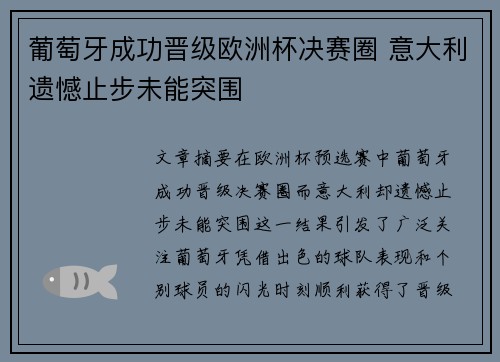 葡萄牙成功晋级欧洲杯决赛圈 意大利遗憾止步未能突围