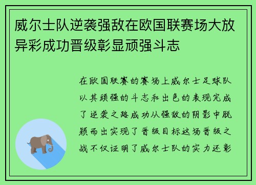 威尔士队逆袭强敌在欧国联赛场大放异彩成功晋级彰显顽强斗志